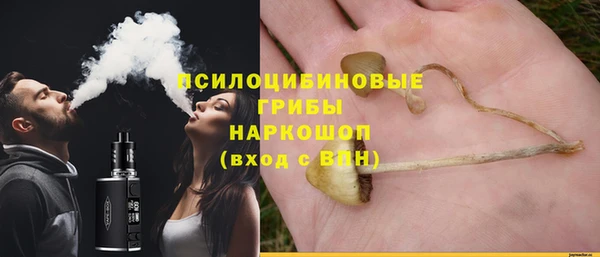мескалин Гусев