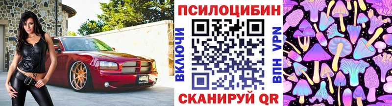 где можно купить наркотик  Новомосковск  Галлюциногенные грибы ЛСД 